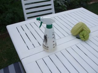 Use a spray bottle like this to apply