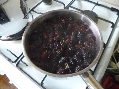 Cooking the mulberries