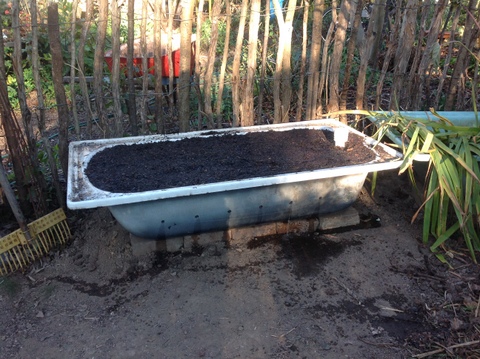 Danielle's wicking bed, newly constructed