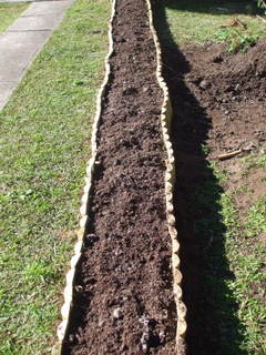 Edging and mushroom compost in place