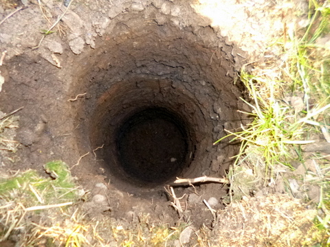 The Whole Hole!