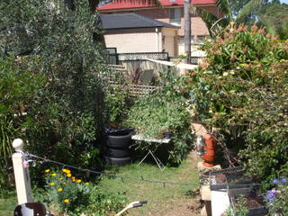 The back yard at a glance