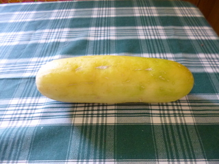 Fully ripe cucumber