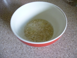 Seeds in a bowl, starting to ferment