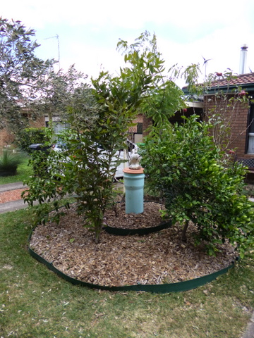 Fruit tree circle with worm tower