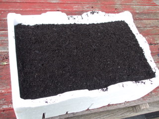 Potting mix now added