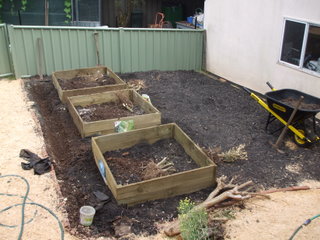 Putting in new raised beds and dug out swale