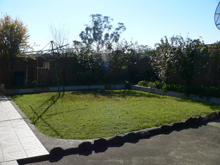 The Back Yard - Before Mandala Garden