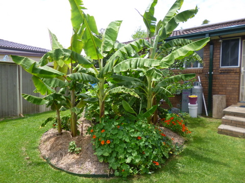 P1020792